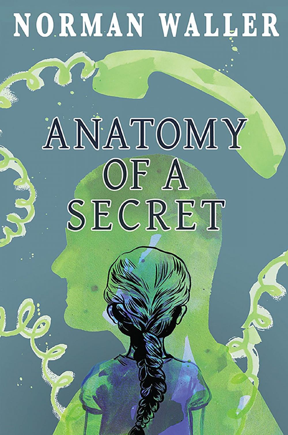 Big bigCover of Anatomy of a Secret