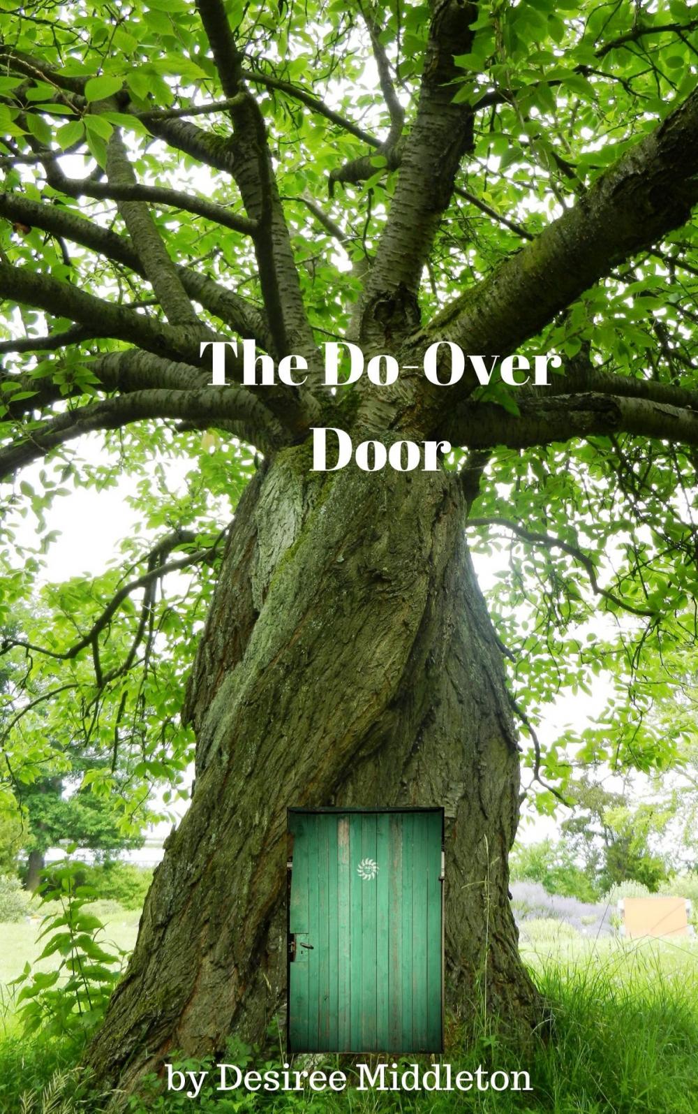 Big bigCover of The Do Over Door