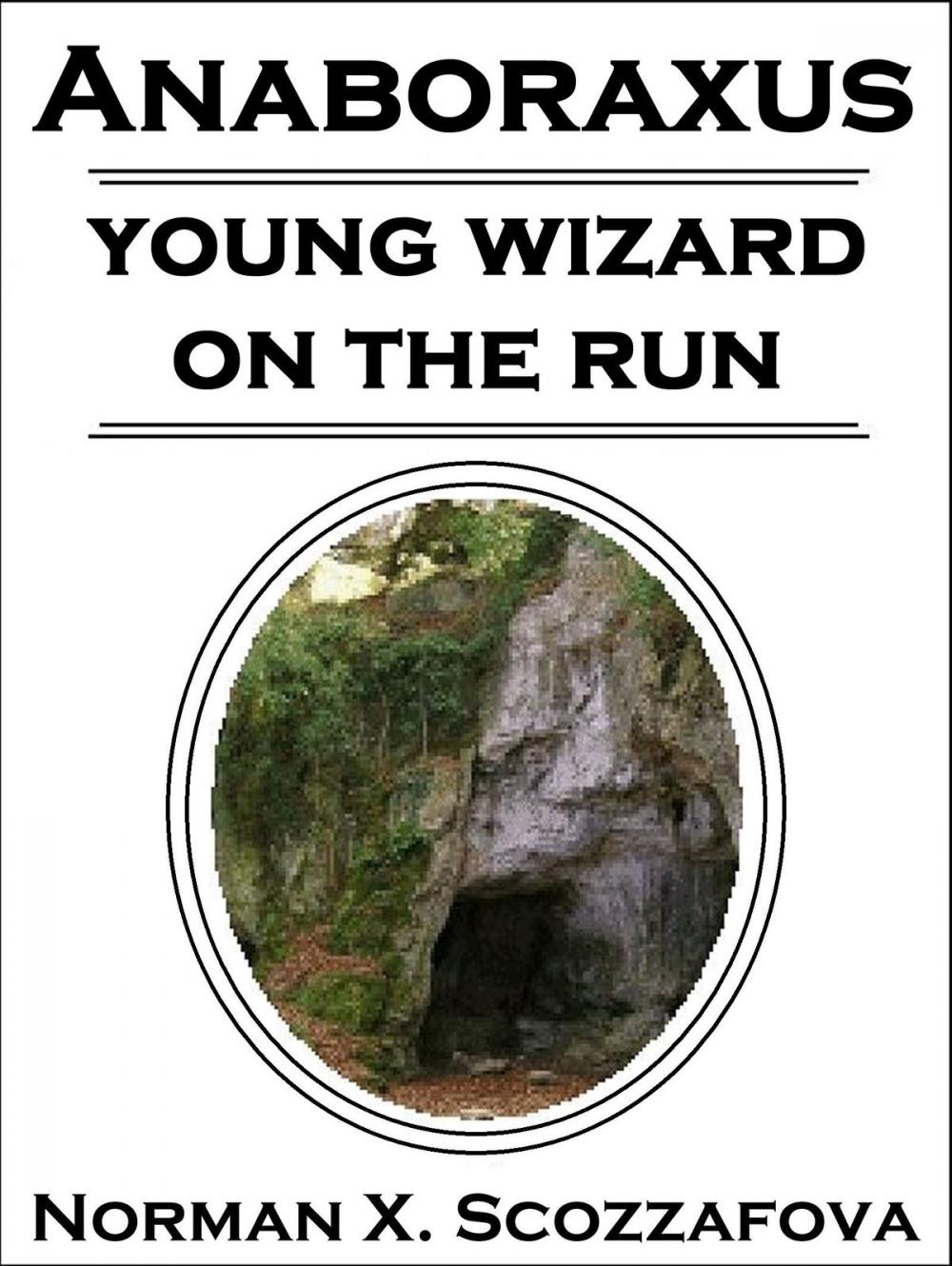 Big bigCover of Young Wizard on the Run