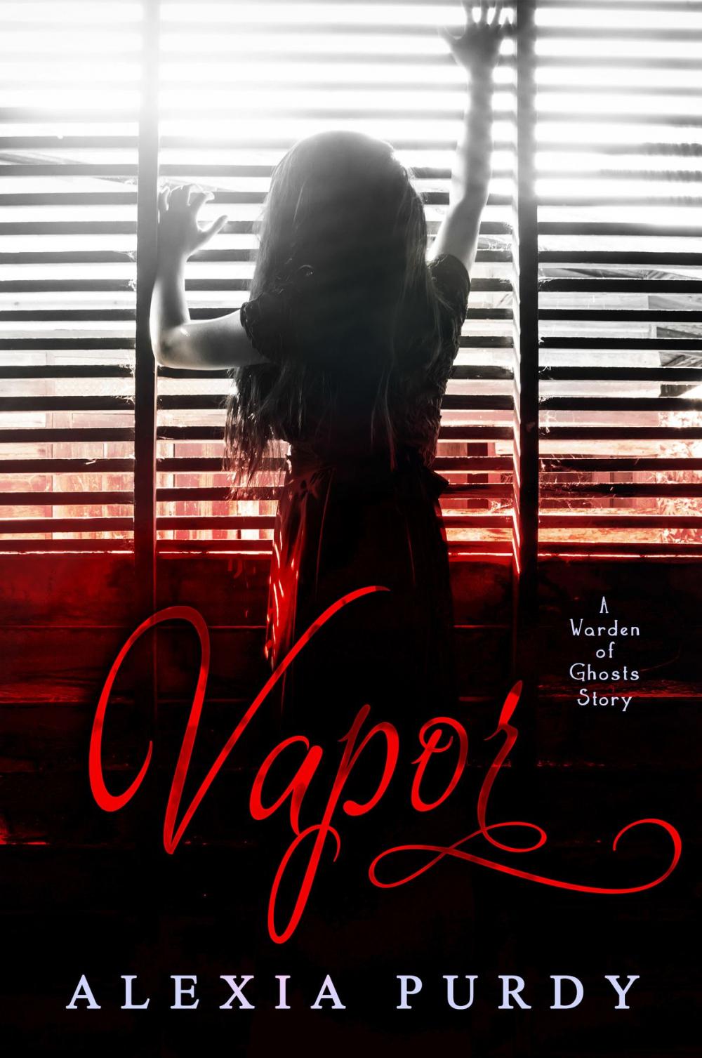 Big bigCover of Vapor (A Warden of Ghosts Story)