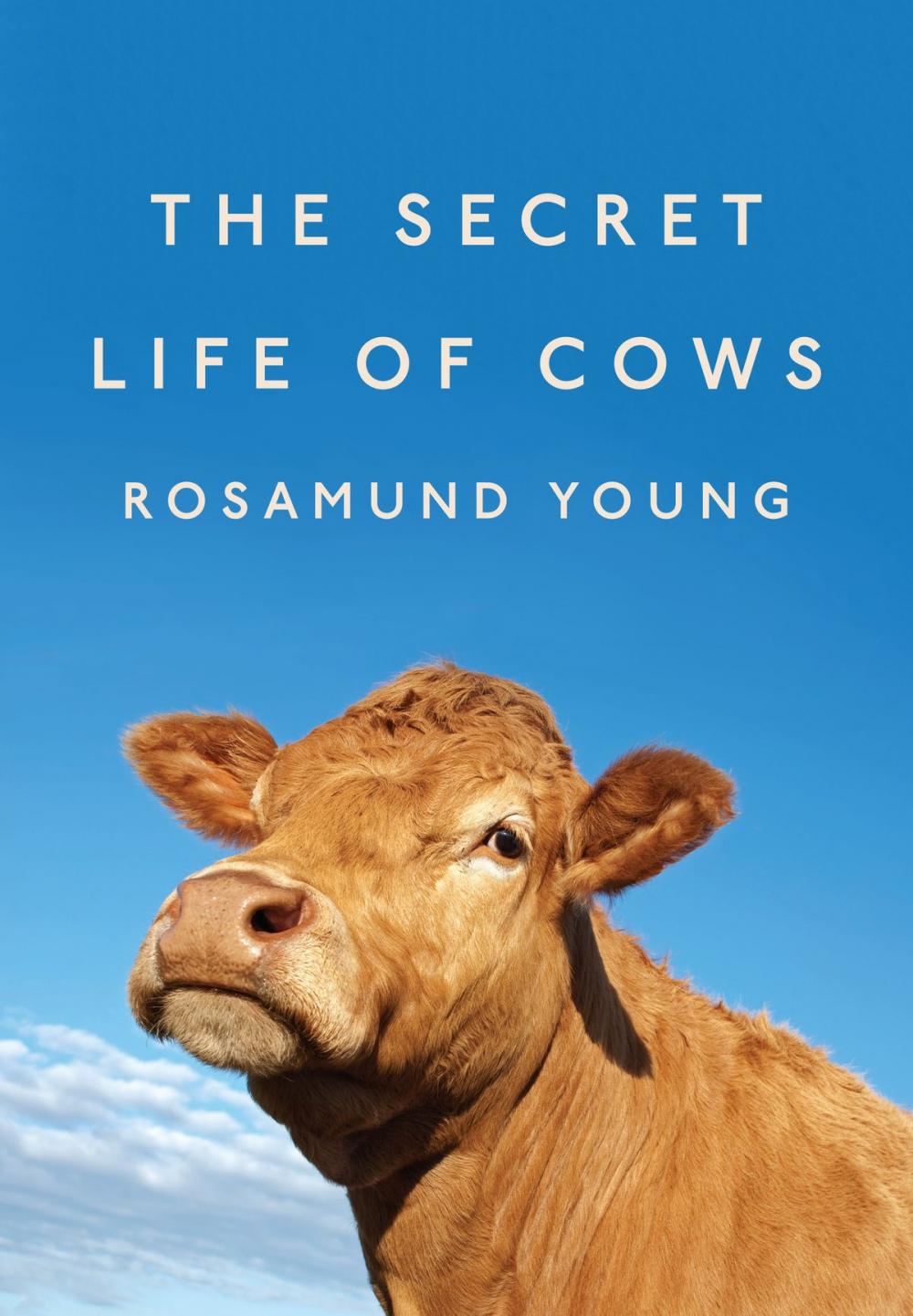 Big bigCover of The Secret Life of Cows