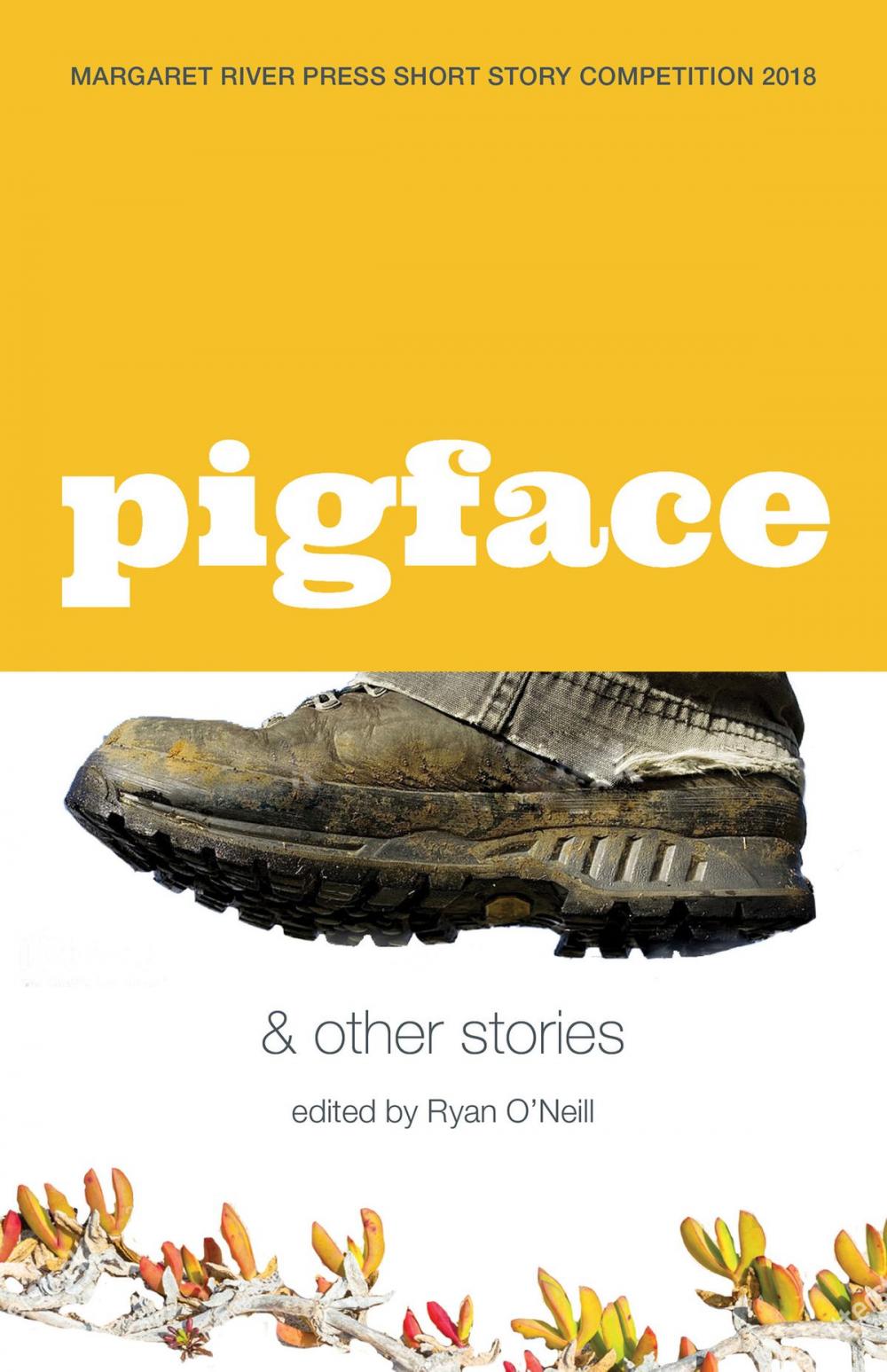 Big bigCover of Pigface and other stories