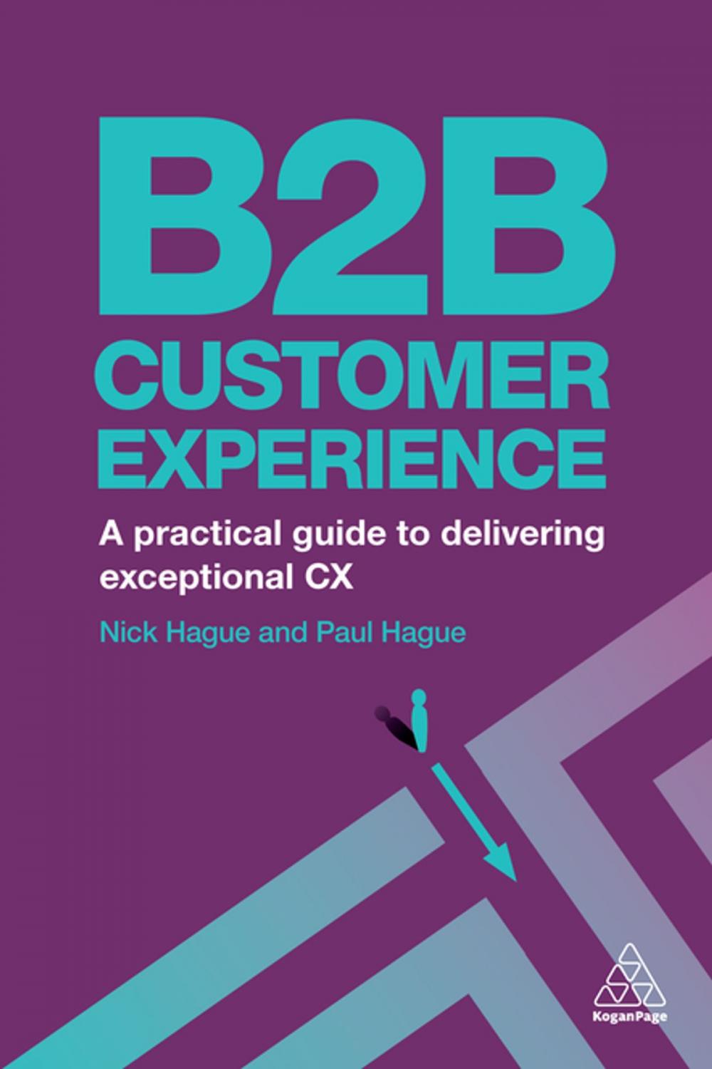 Big bigCover of B2B Customer Experience