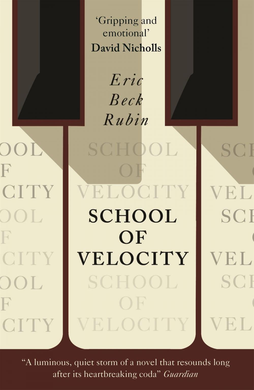 Big bigCover of School of Velocity