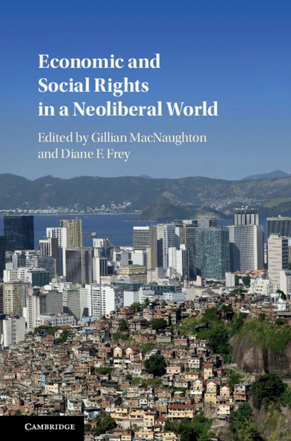 Big bigCover of Economic and Social Rights in a Neoliberal World