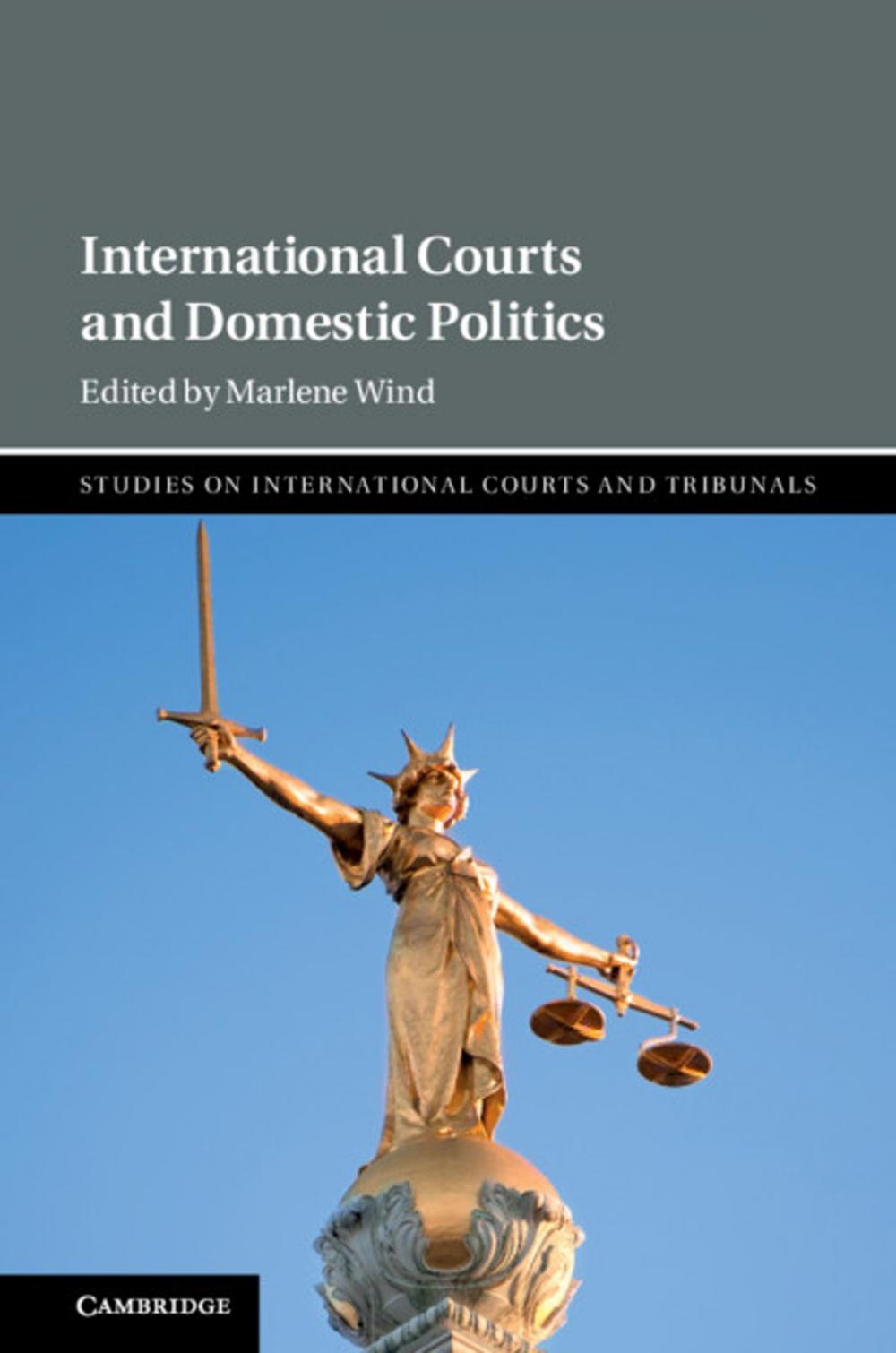 Big bigCover of International Courts and Domestic Politics