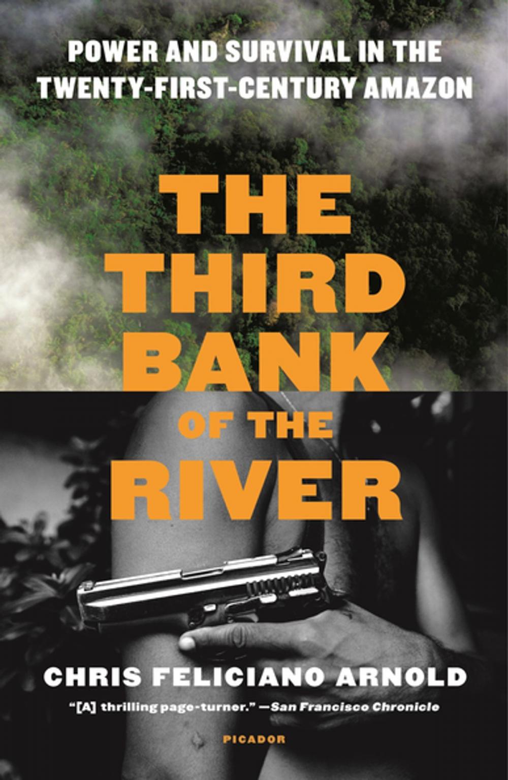 Big bigCover of The Third Bank of the River