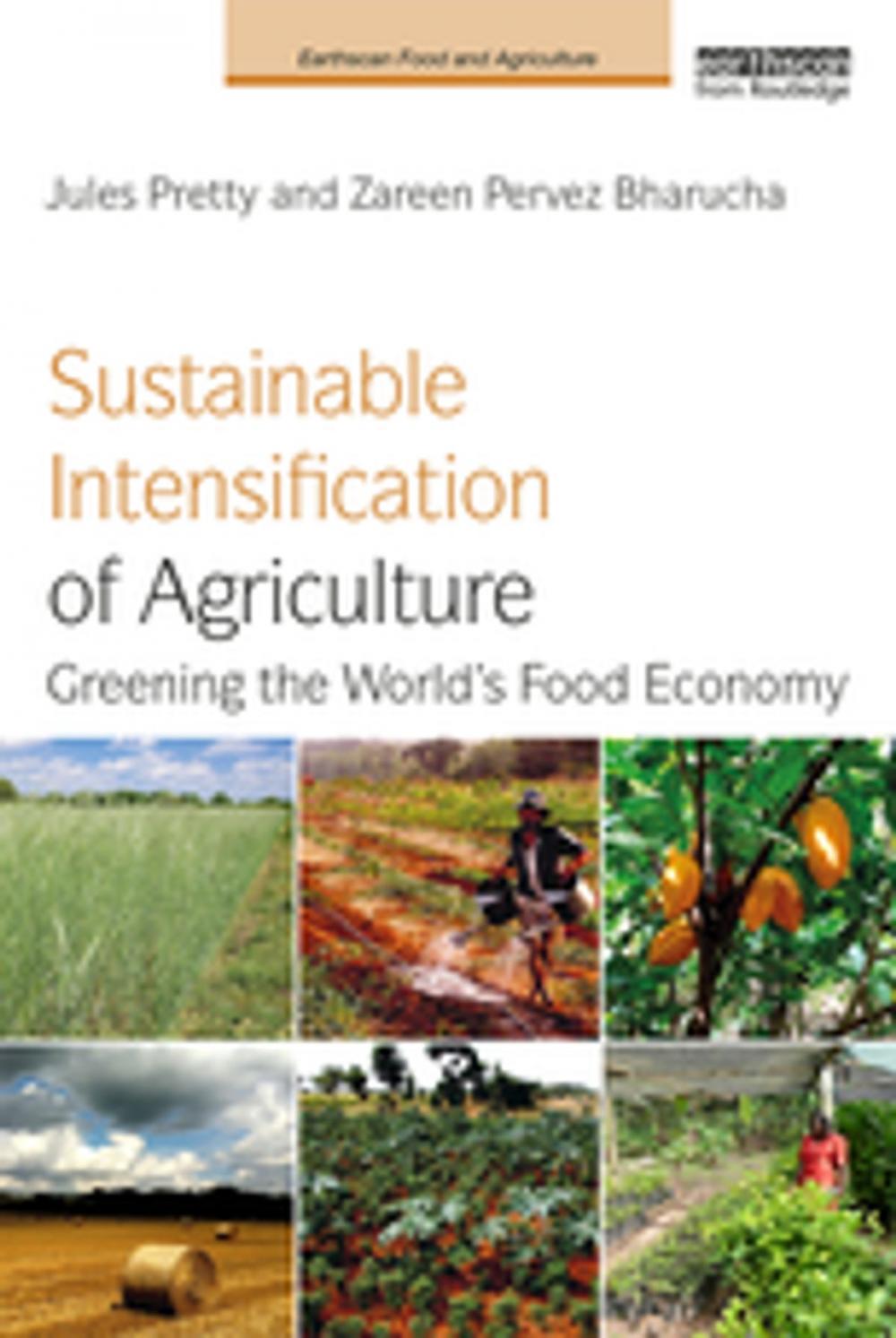 Big bigCover of Sustainable Intensification of Agriculture