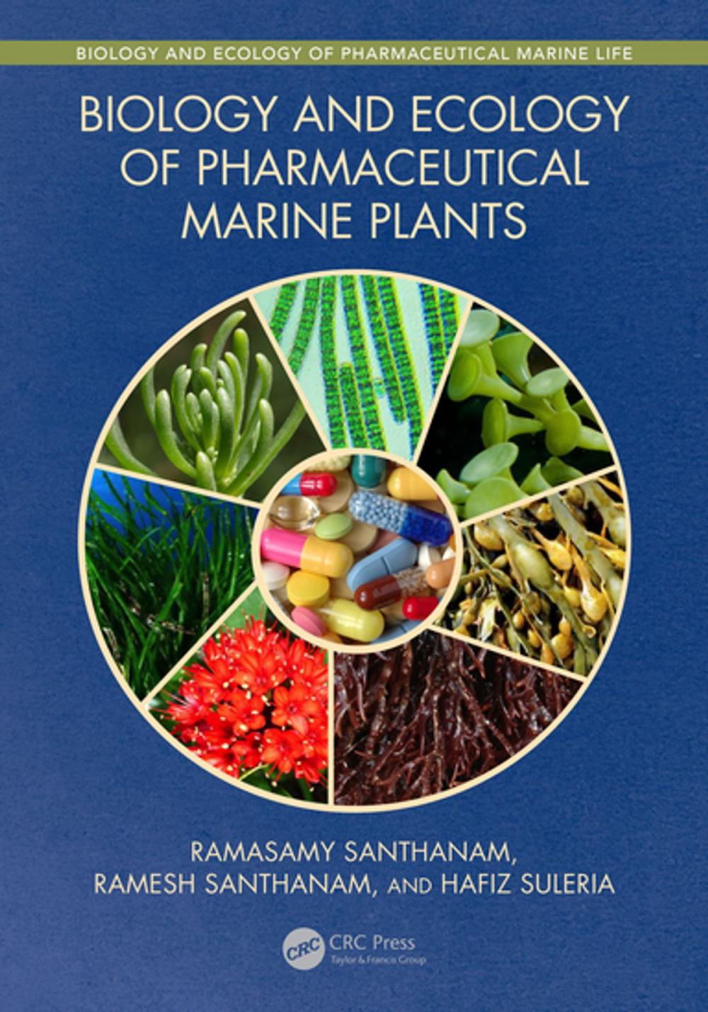 Big bigCover of Biology and Ecology of Pharmaceutical Marine Plants