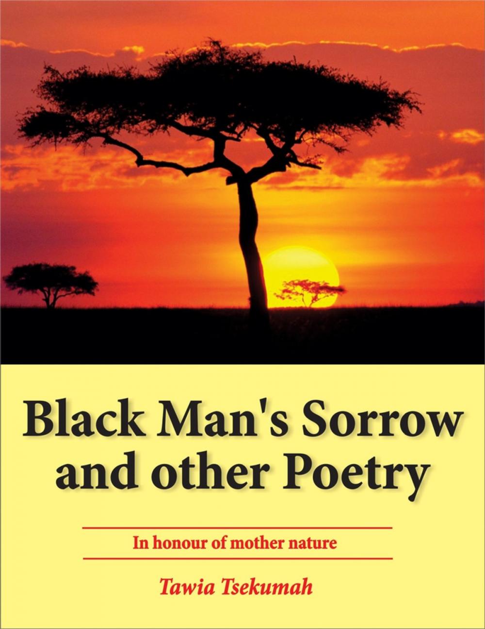 Big bigCover of Black Man’s Sorrow and Other Poetry: In Honour of Mother Nature