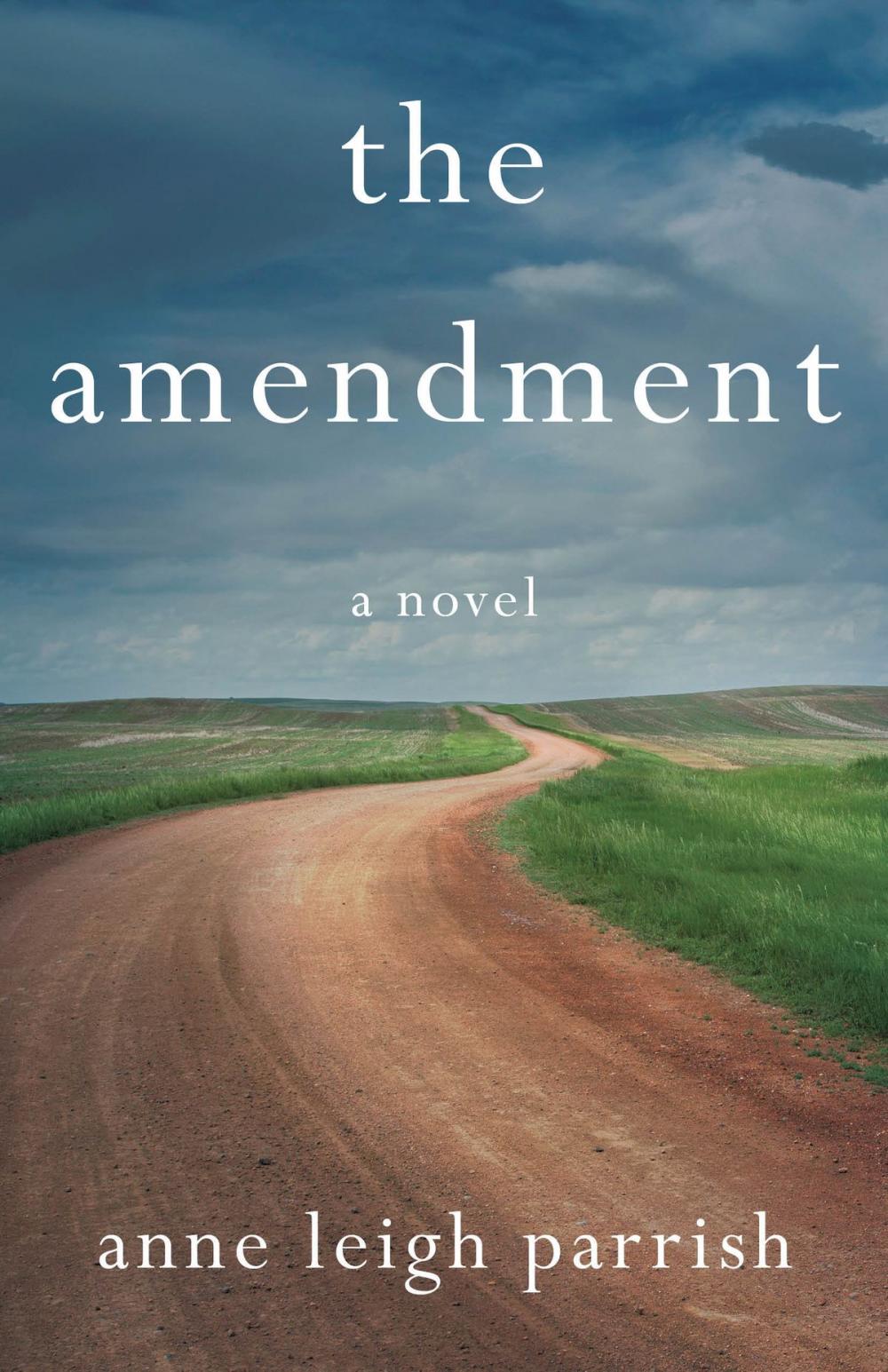 Big bigCover of The Amendment