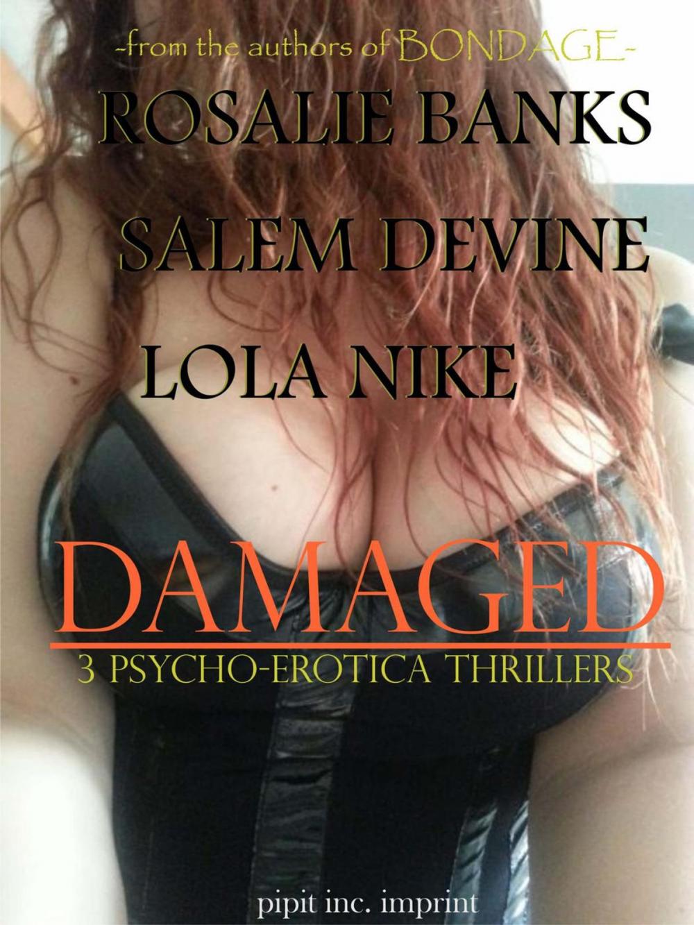 Big bigCover of Damaged : 3 Psycho Erotica Thrillers