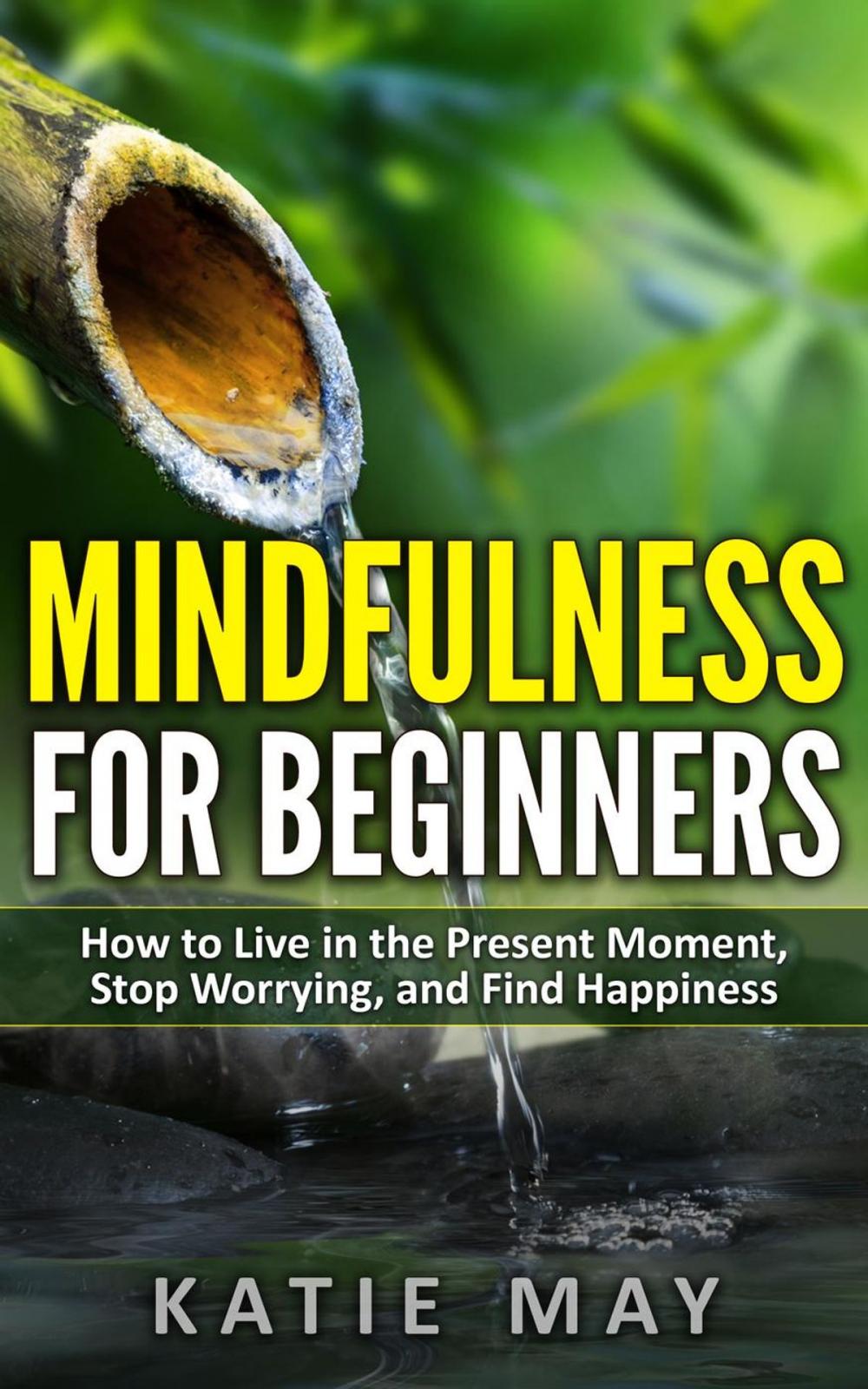 Big bigCover of Mindfulness for Beginners: How to Live in the Present Moment, Stop Worrying, and Find Happiness