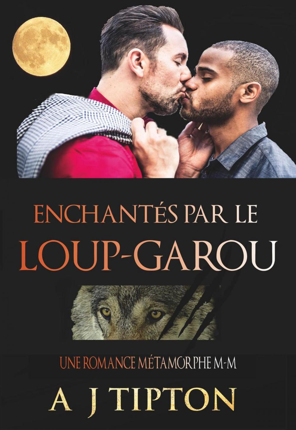 Big bigCover of Enchantés par le Loup-Garou: Une Romance Métamorphe M-M