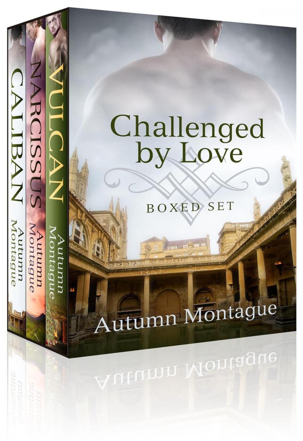 Big bigCover of Challenged by Love: E-Boxed Set