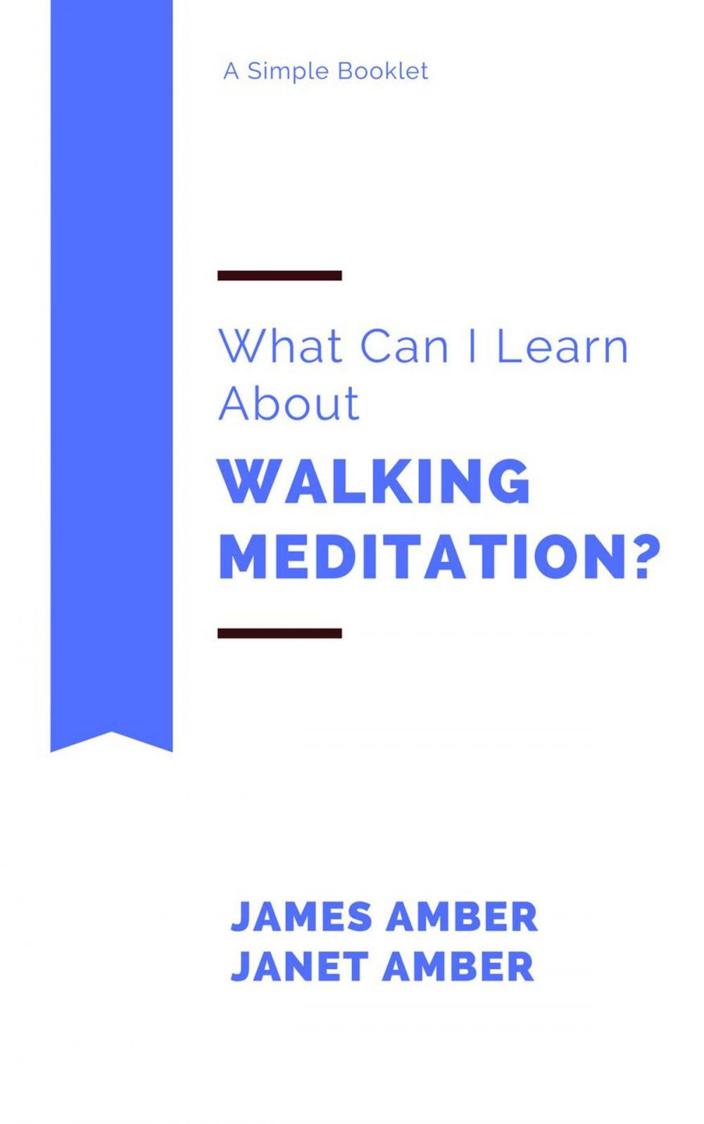 Big bigCover of What Can I Learn About Walking Meditation?