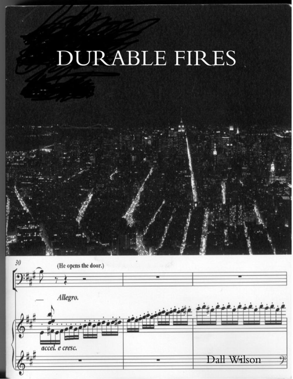 Big bigCover of Durable Fires