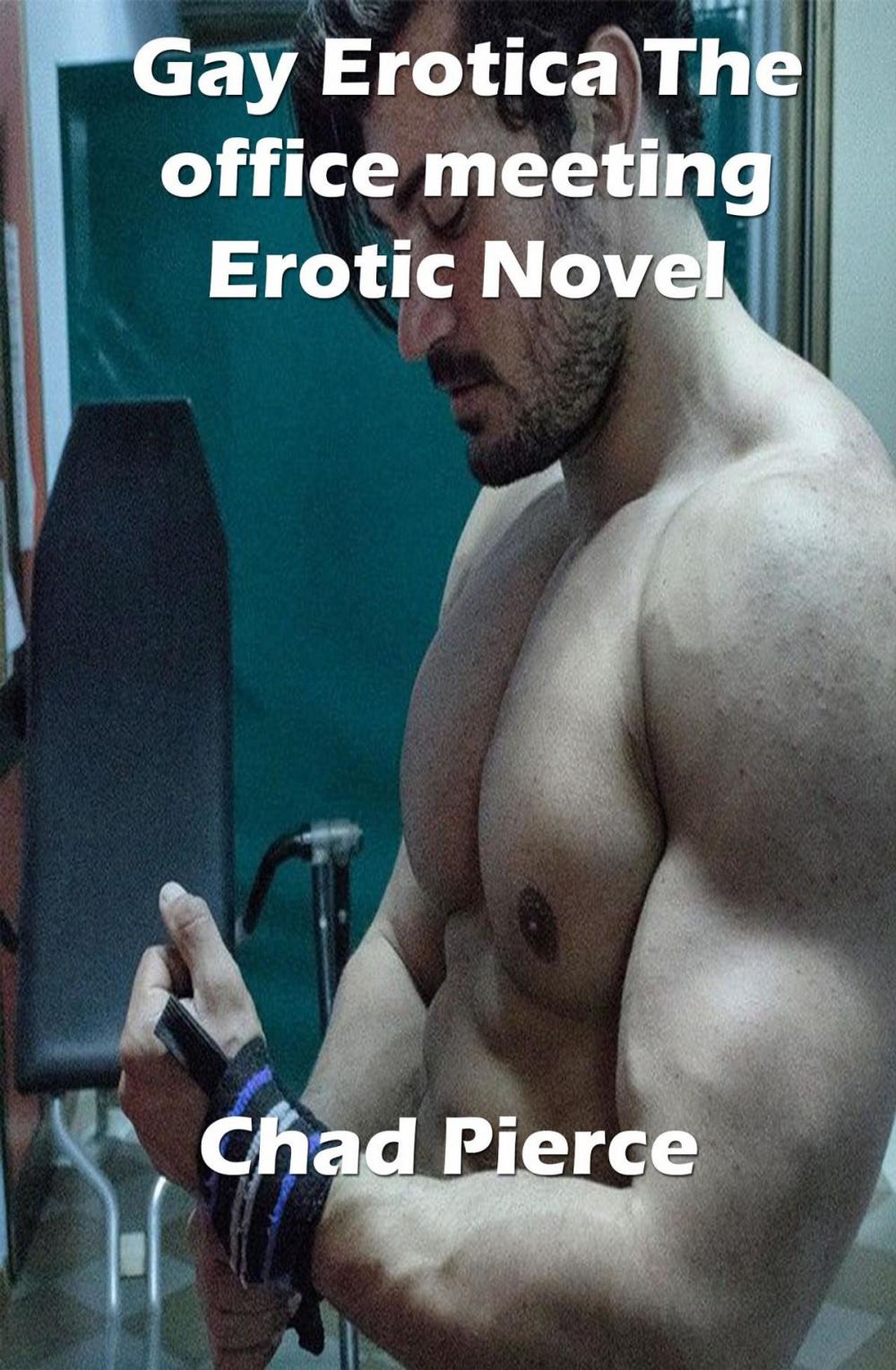 Big bigCover of Gay Erotica The office meeting Erotic Novel