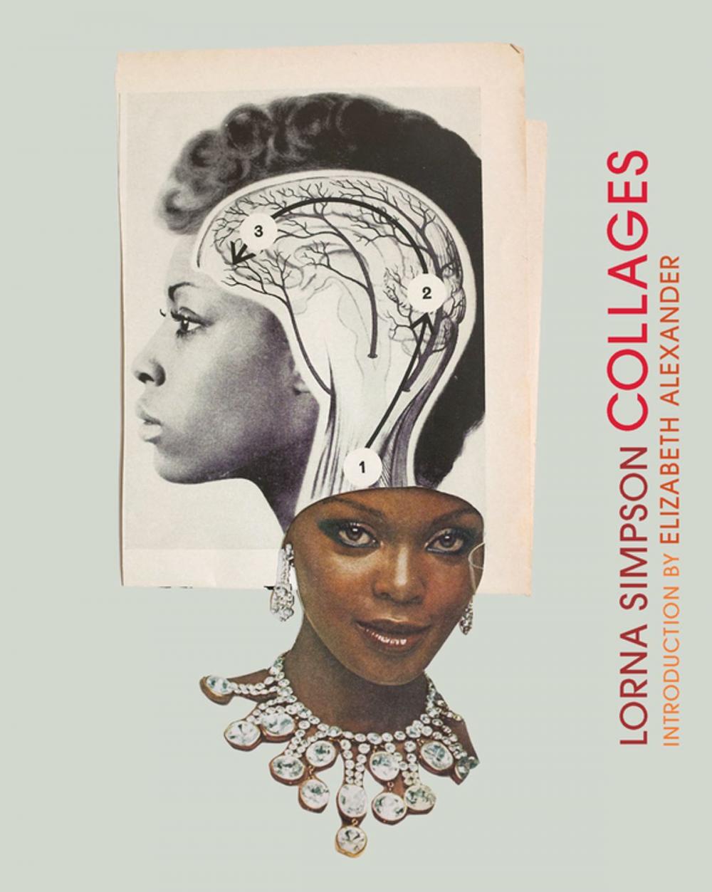 Big bigCover of Lorna Simpson Collages