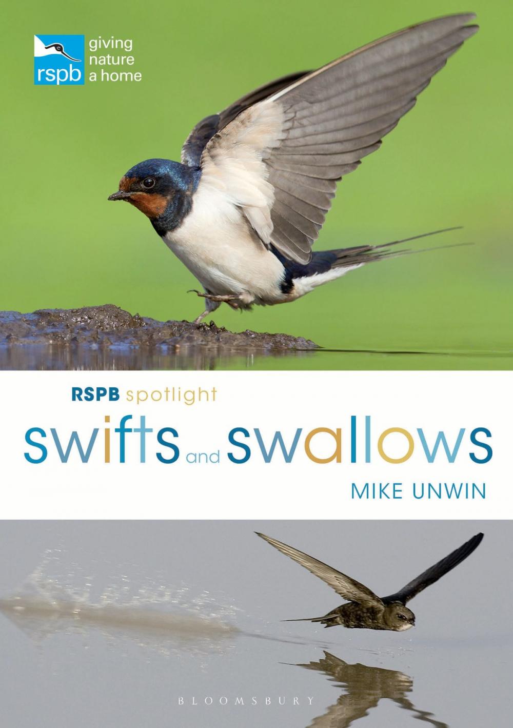 Big bigCover of RSPB Spotlight Swifts and Swallows