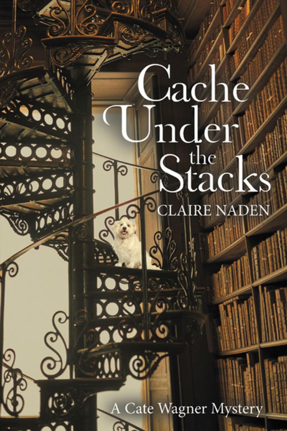 Big bigCover of Cache Under the Stacks