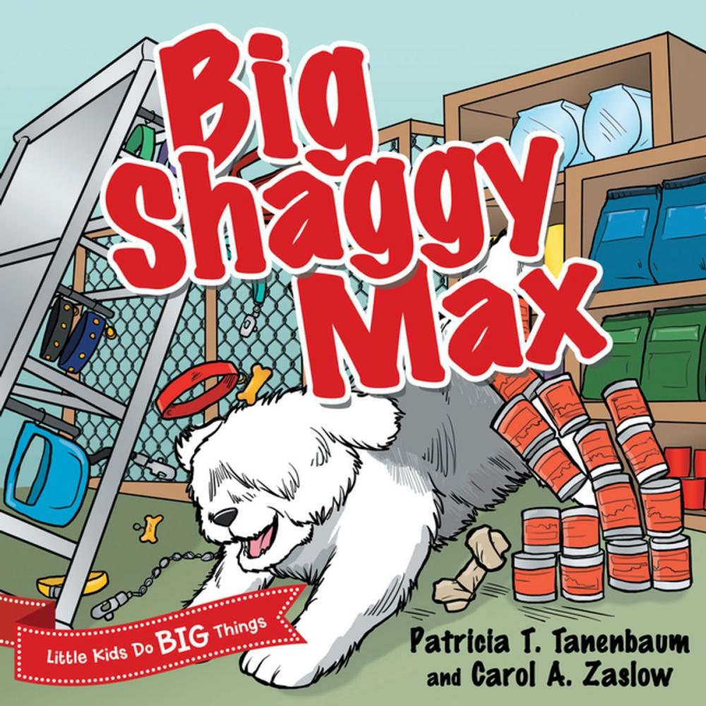 Big bigCover of Big Shaggy Max