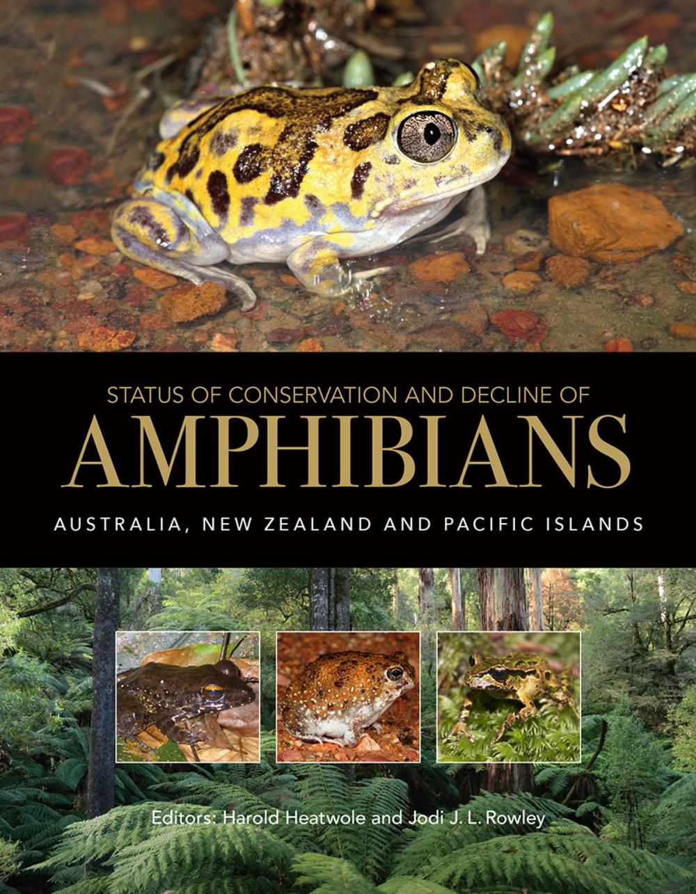 Big bigCover of Status of Conservation and Decline of Amphibians