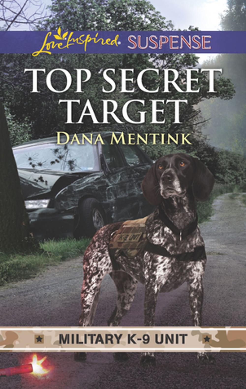 Big bigCover of Top Secret Target