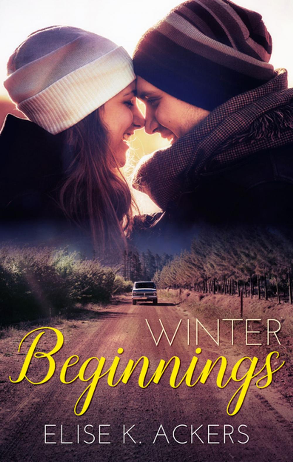 Big bigCover of Winter Beginnings