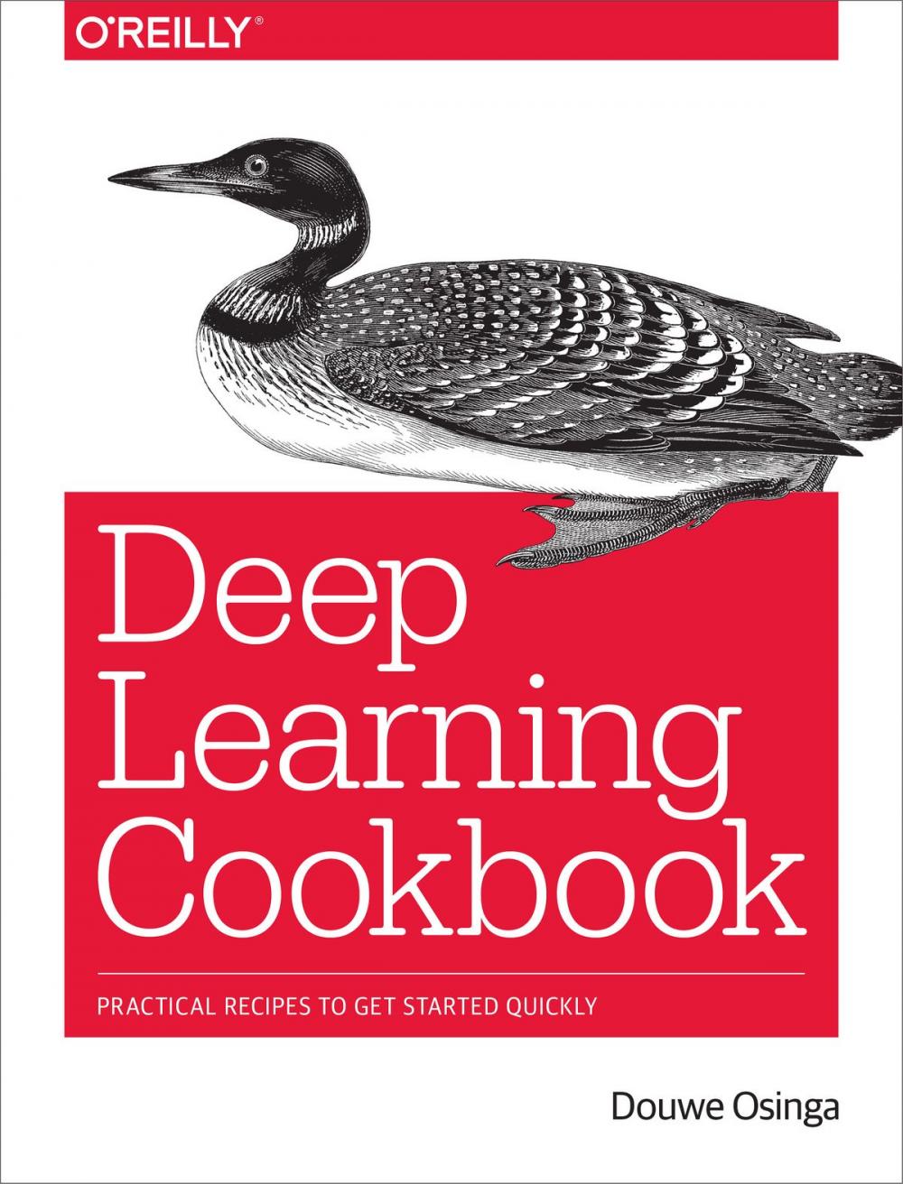 Big bigCover of Deep Learning Cookbook