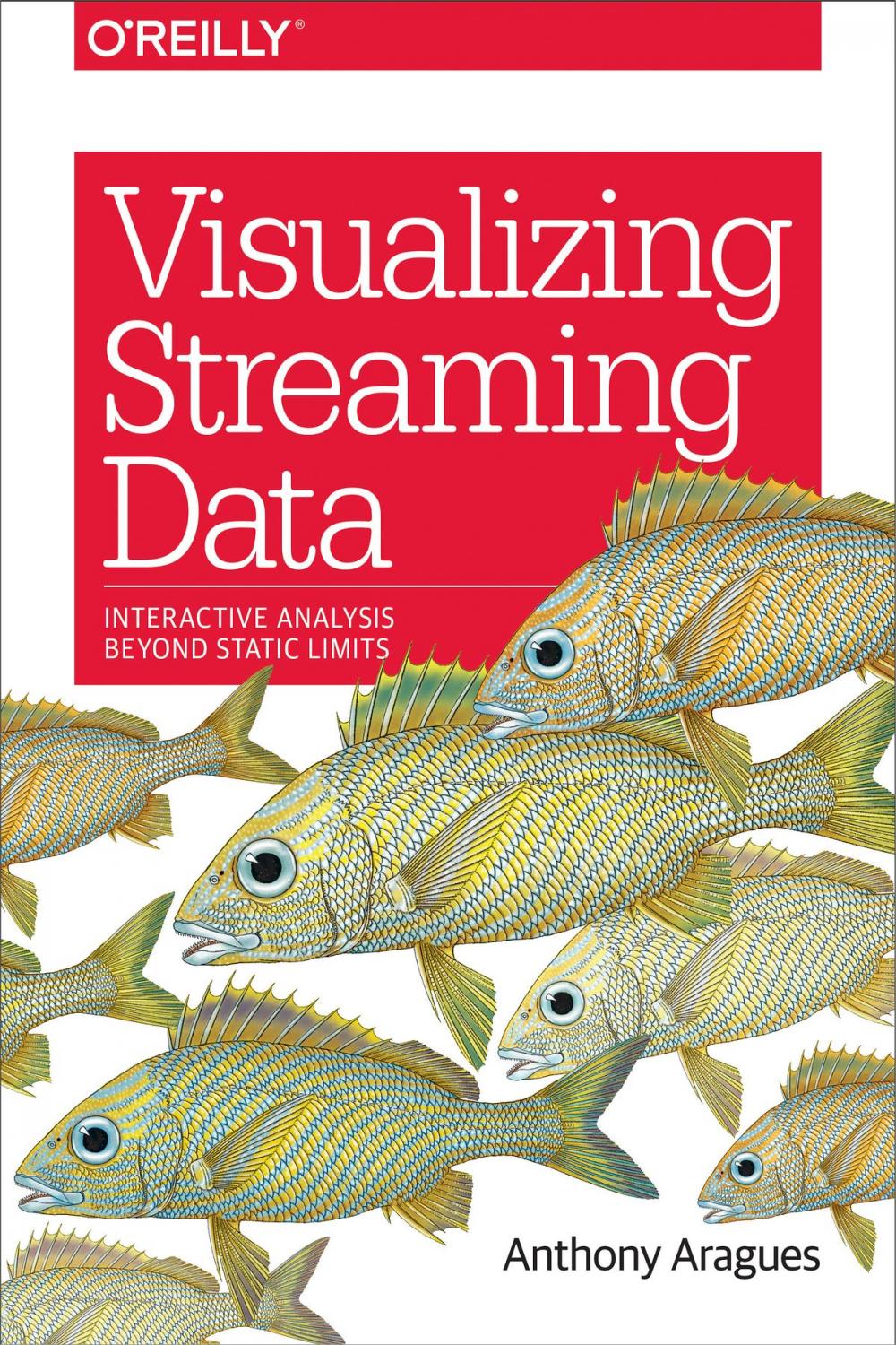 Big bigCover of Visualizing Streaming Data