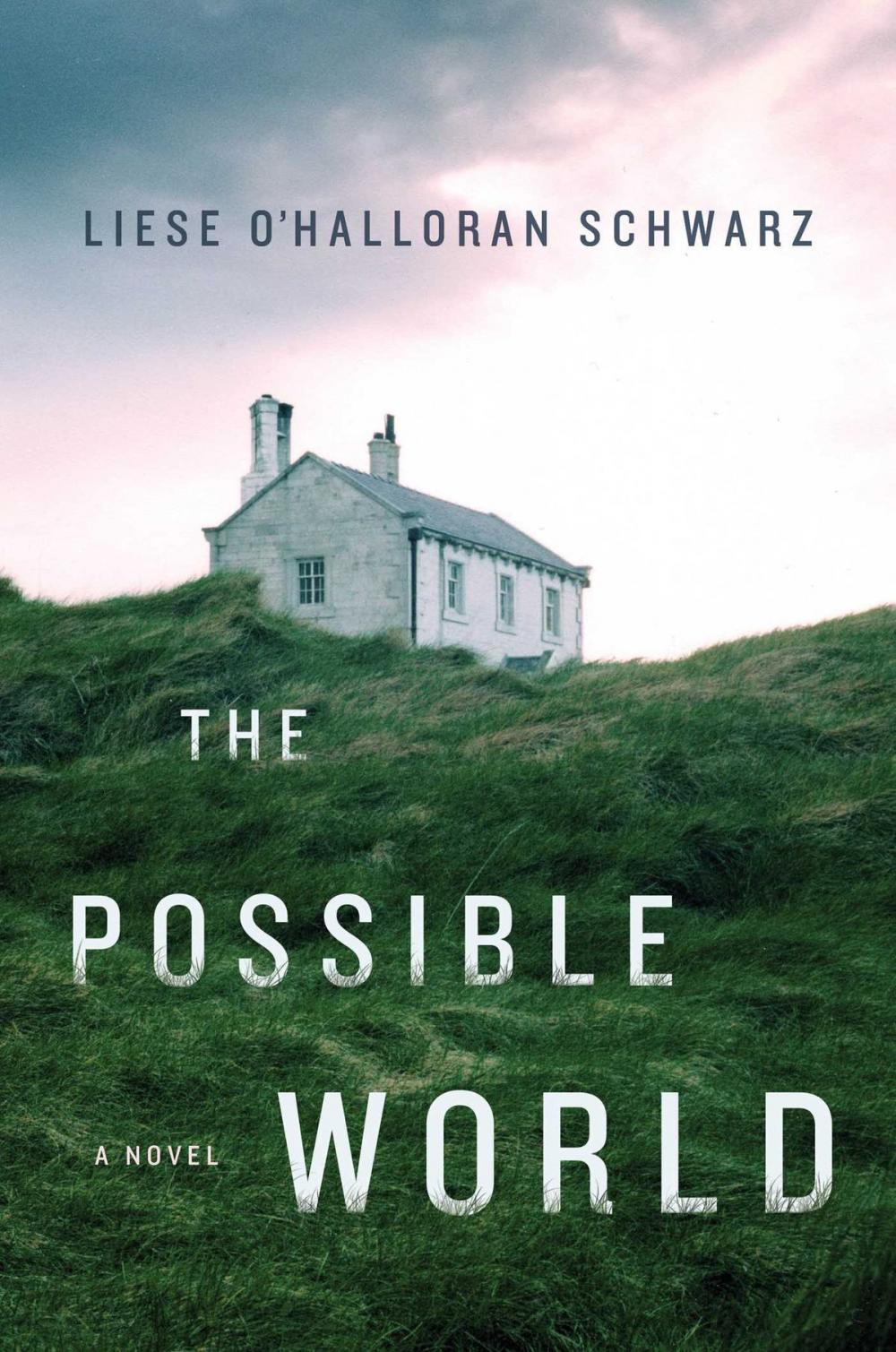 Big bigCover of The Possible World