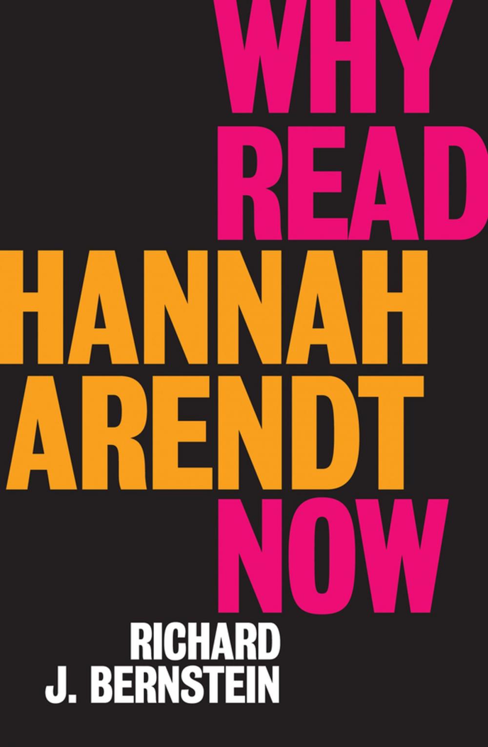 Big bigCover of Why Read Hannah Arendt Now?