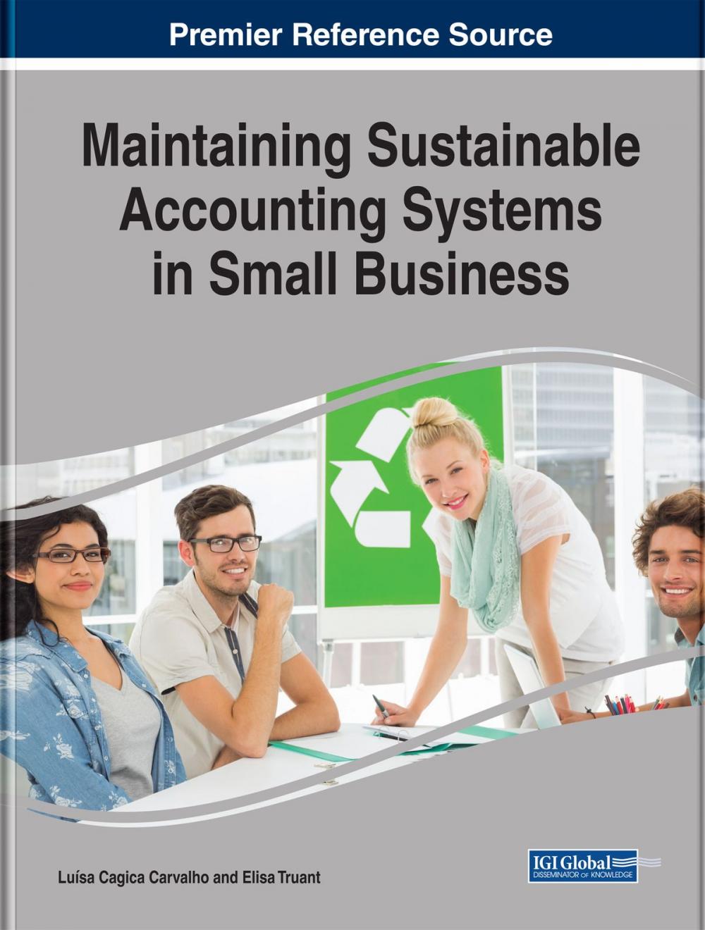 Big bigCover of Maintaining Sustainable Accounting Systems in Small Business