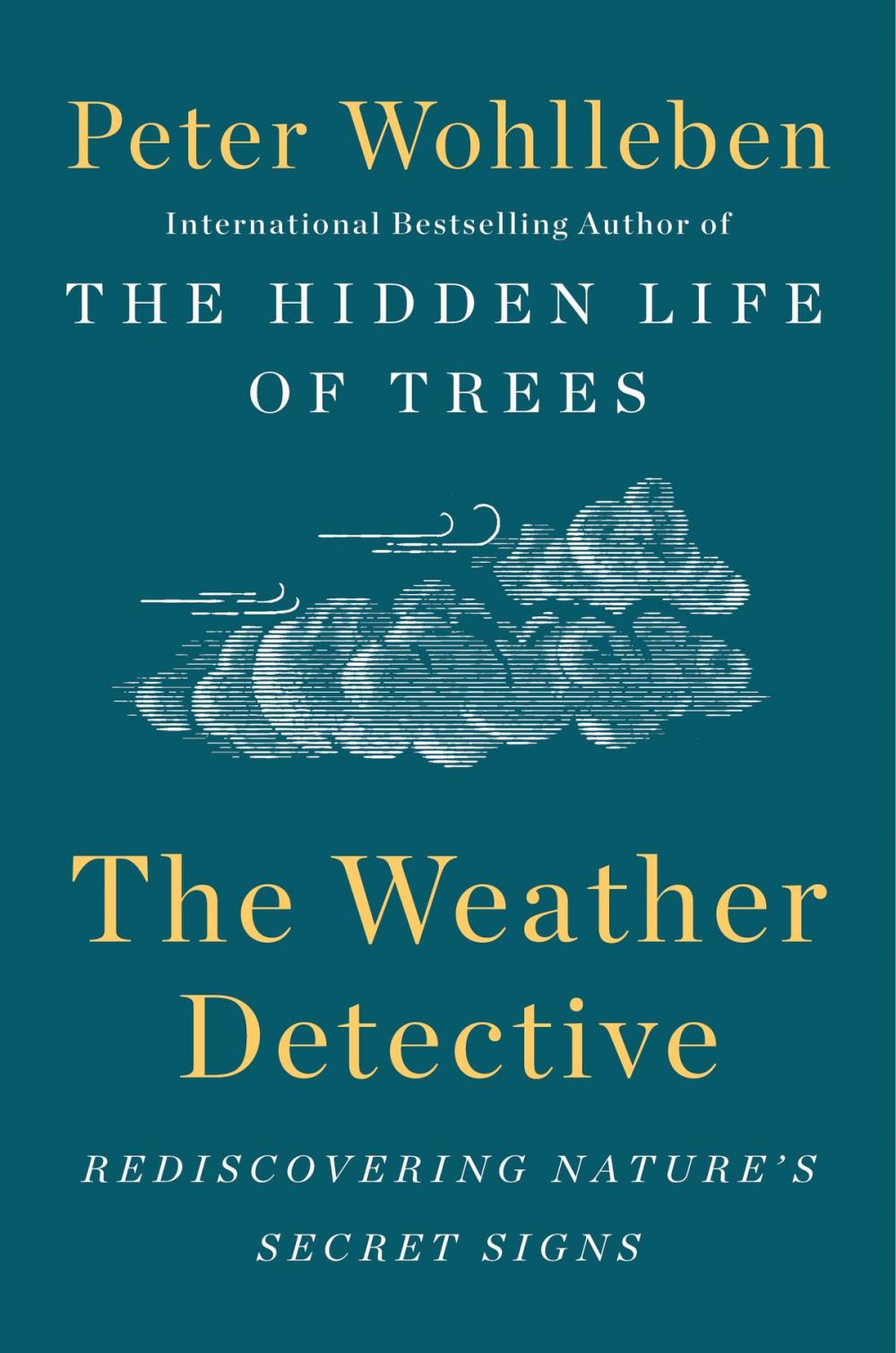 Big bigCover of The Weather Detective