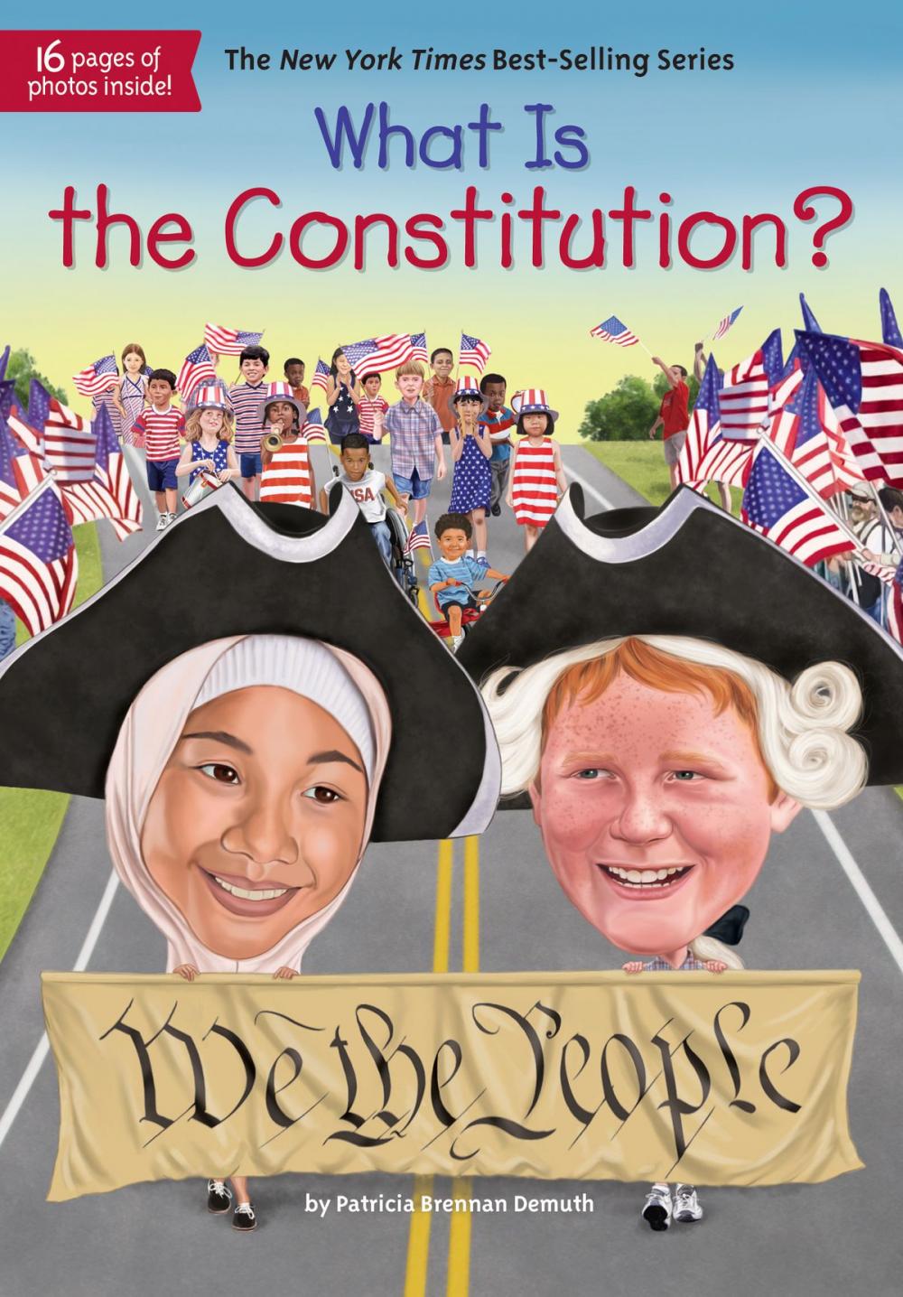 Big bigCover of What Is the Constitution?