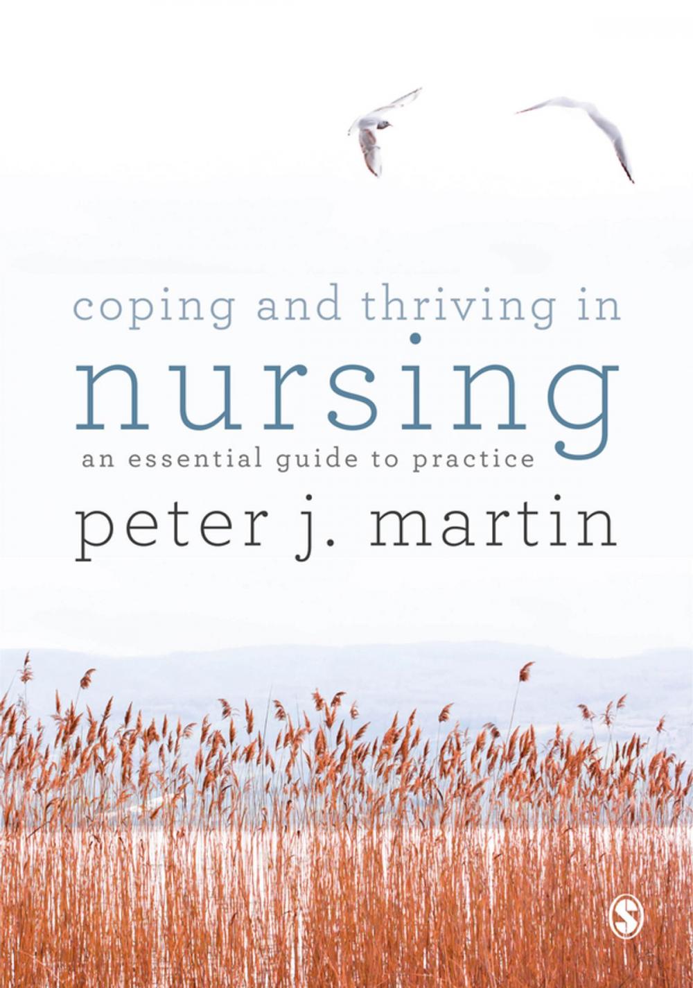 Big bigCover of Coping and Thriving in Nursing