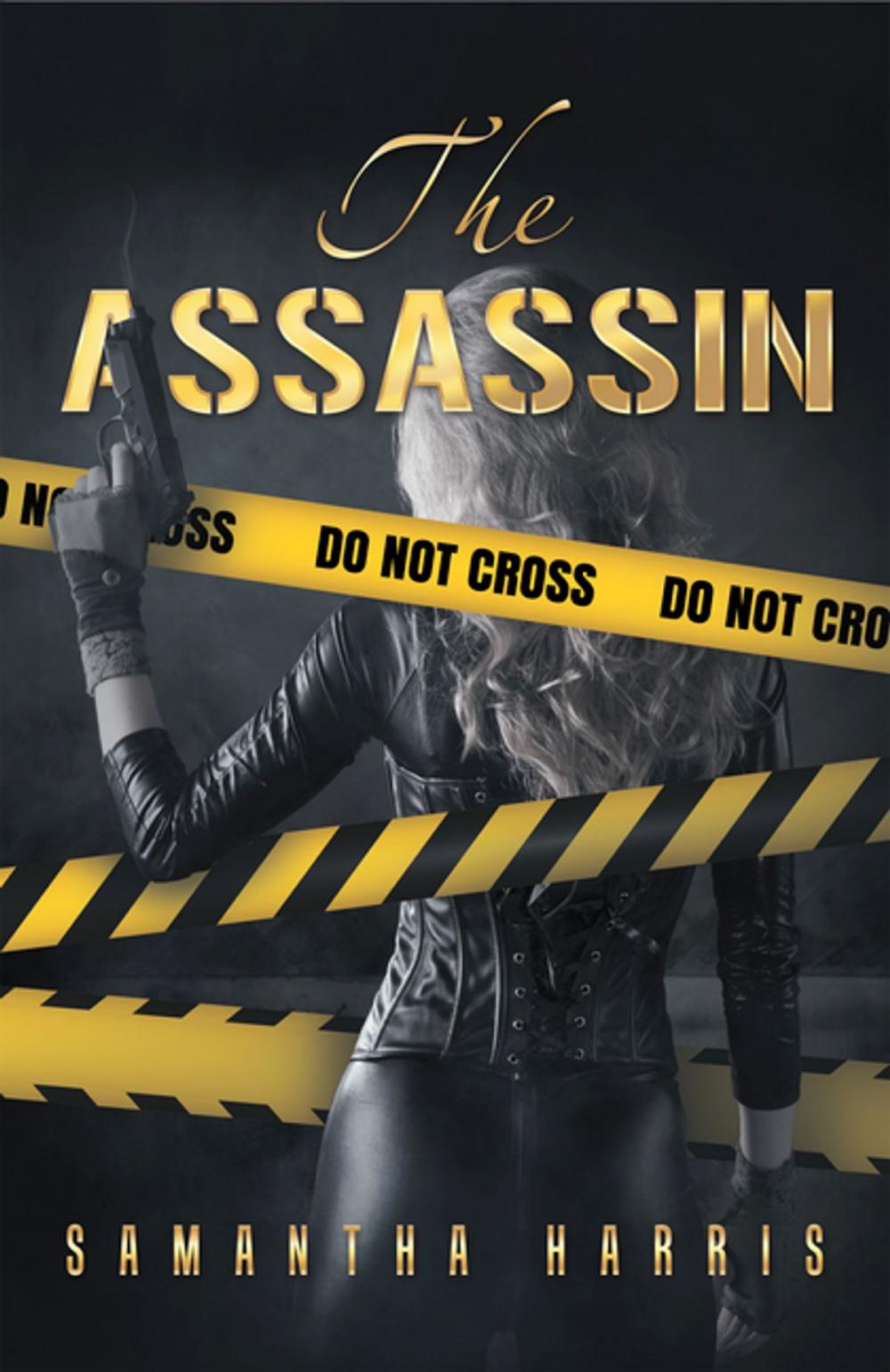 Big bigCover of The Assassin