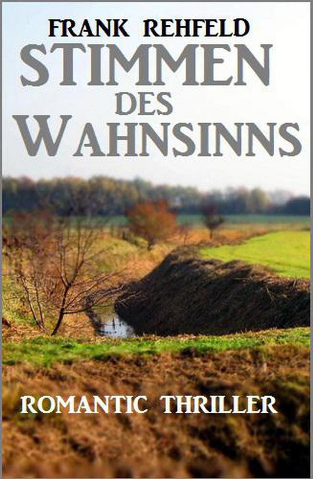 Big bigCover of Stimmen des Wahnsinns