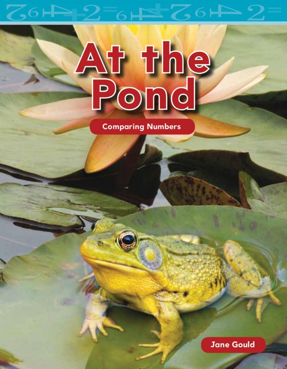 Big bigCover of At the Pond