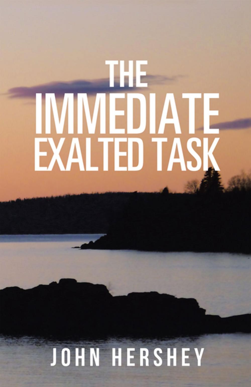 Big bigCover of The Immediate Exalted Task