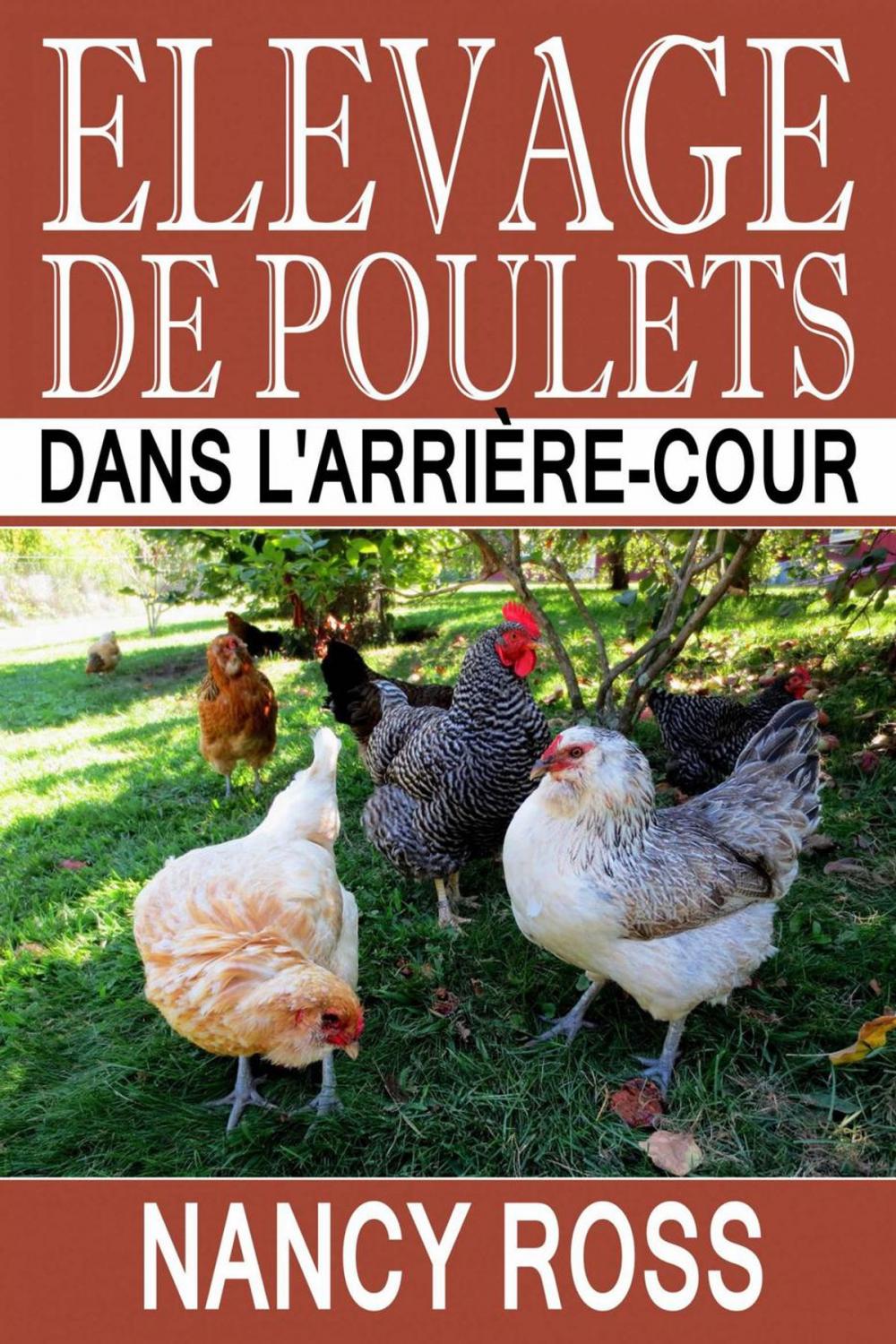 Big bigCover of Elevage de poulets dans l'arrière-cour