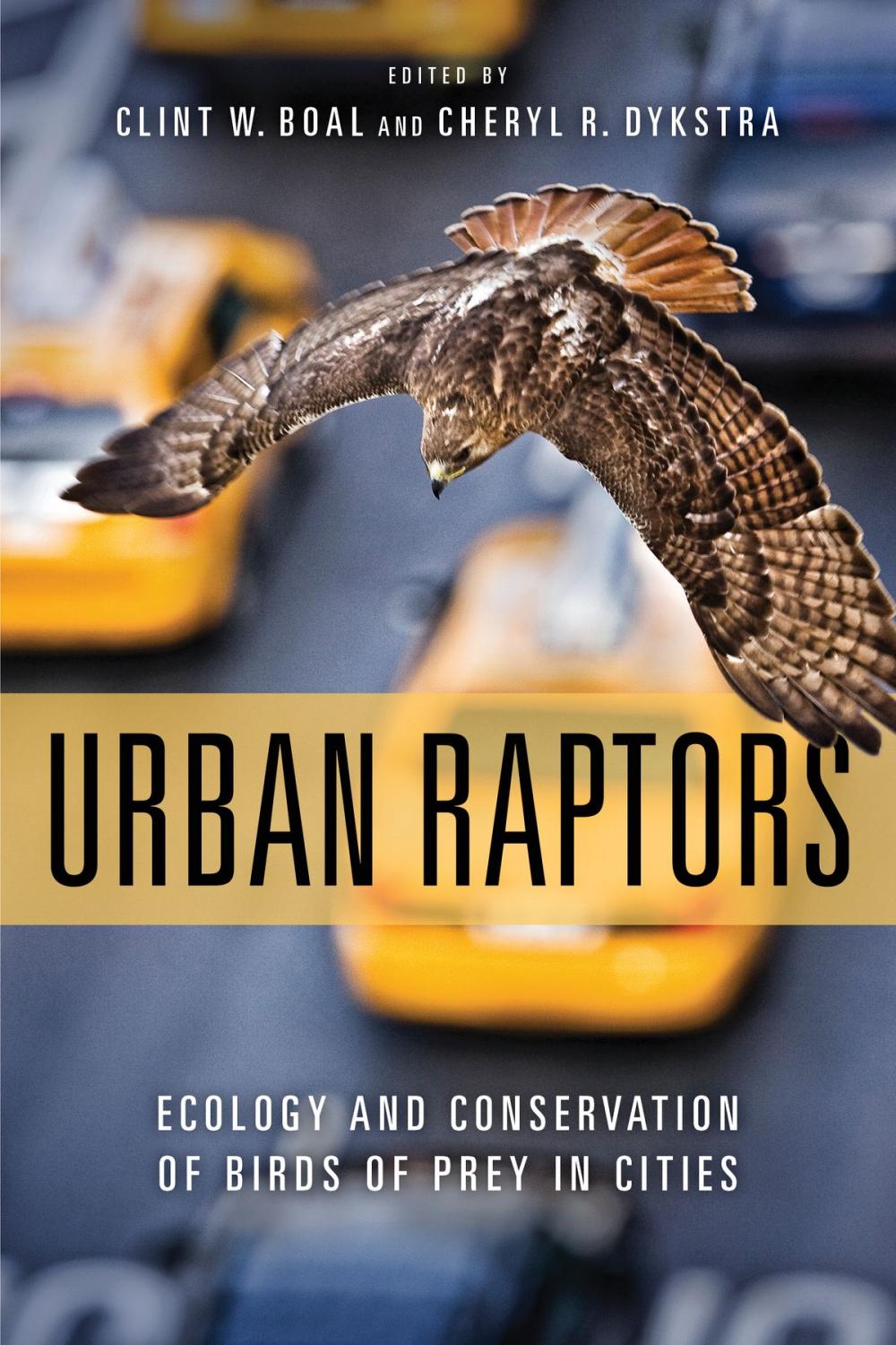 Big bigCover of Urban Raptors