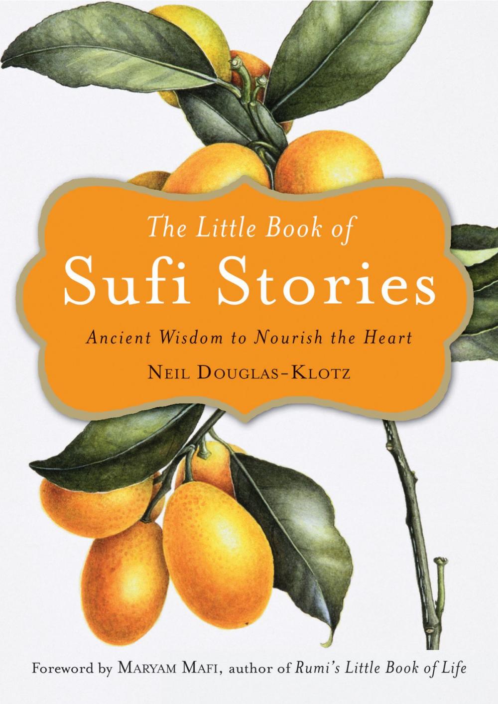 Big bigCover of The Little Book of Sufi Stories