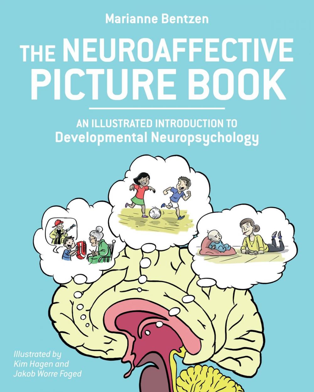 Big bigCover of The Neuroaffective Picture Book