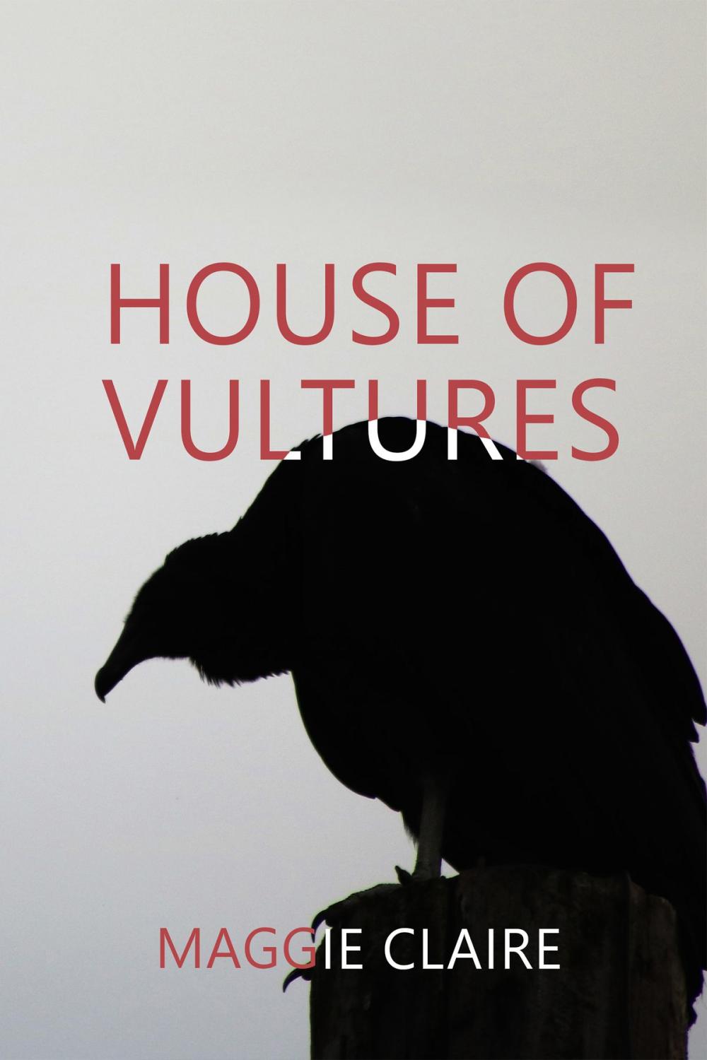 Big bigCover of House of Vultures