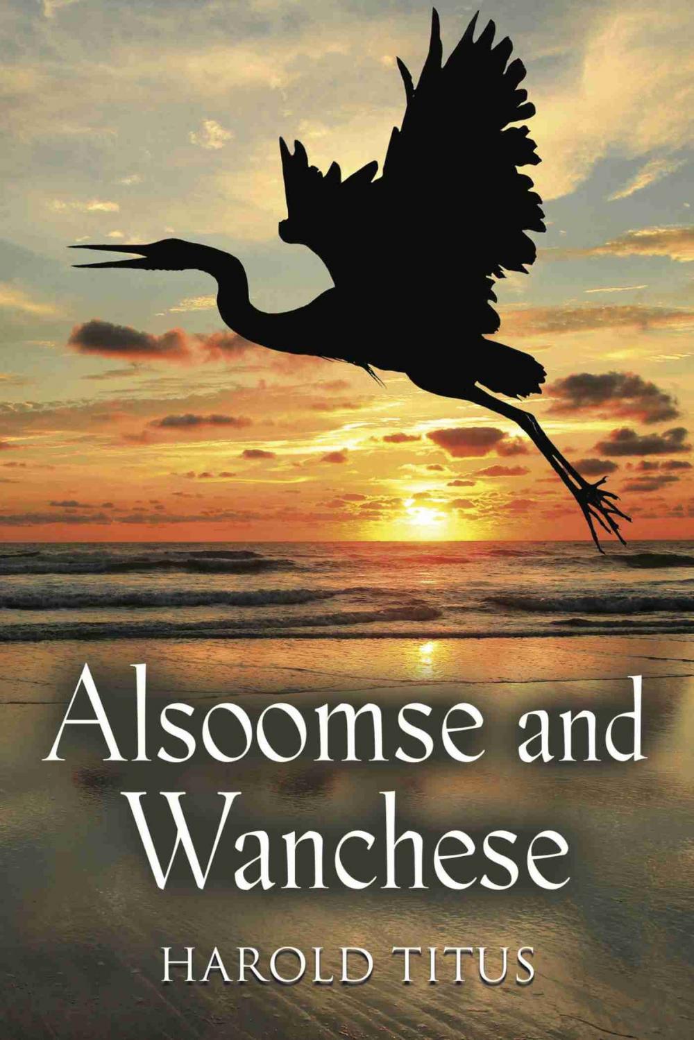 Big bigCover of Alsoomse and Wanchese