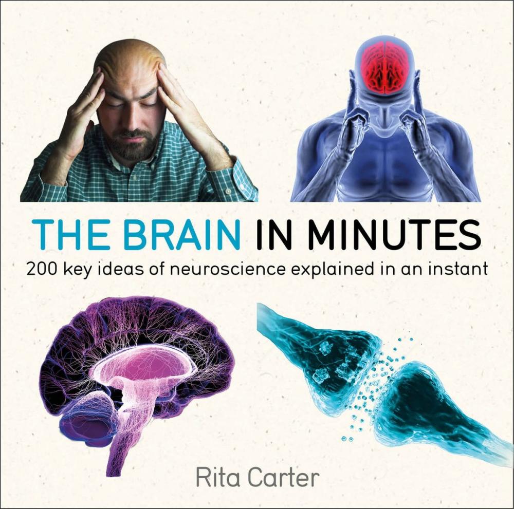 Big bigCover of The Brain in Minutes