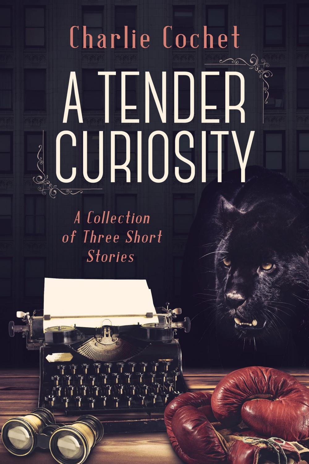 Big bigCover of A Tender Curiosity