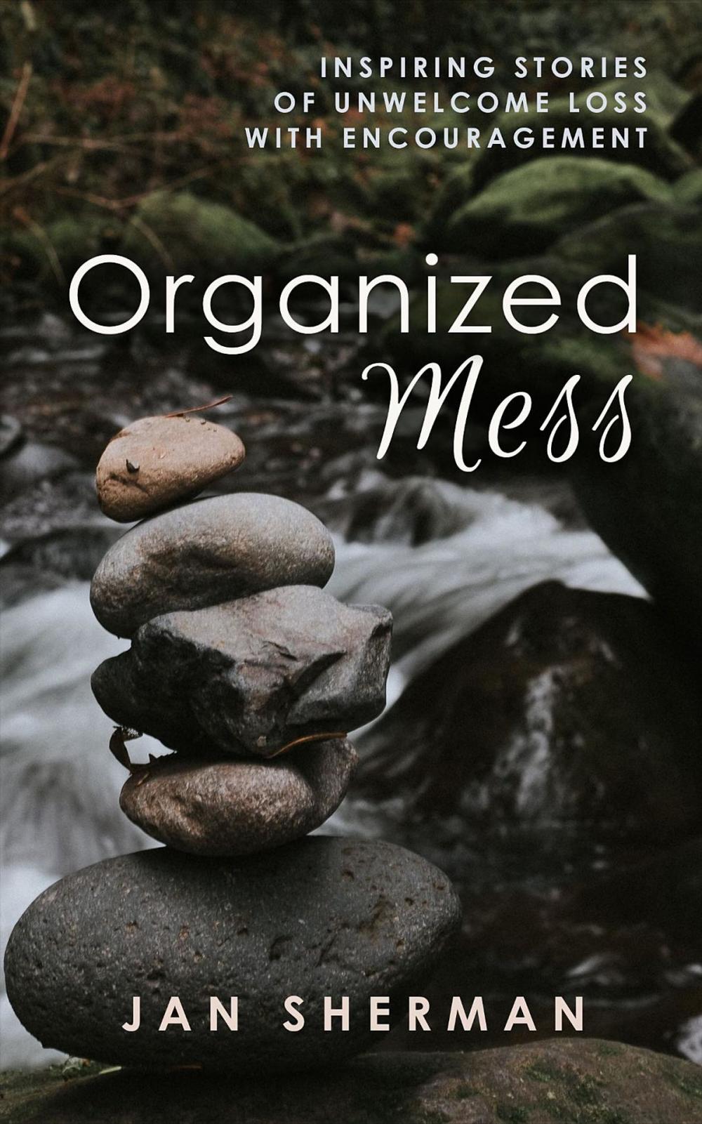 Big bigCover of Organized Mess